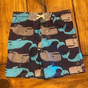Circo Swim Trunks